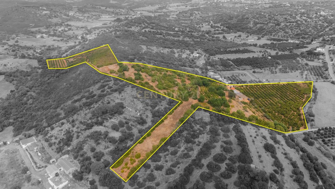 Farm Ranch in Mexilhoeira Grande, Algarve, Portugal 1 - 19115400