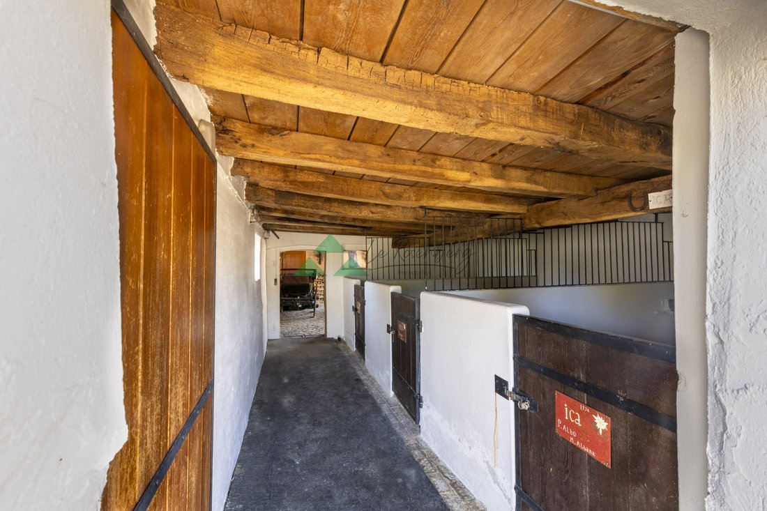 House in Rantzwiller, Grand Est, France 5 - 16467314