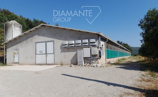 Azienda agricola a Rapolano Terme, Toscana, Italia 1