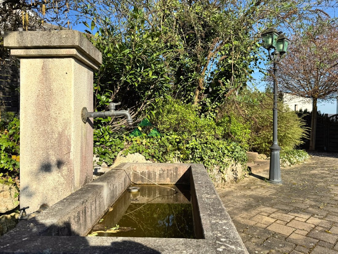 Haus in Leymen, Grand Est, Frankreich 2 - 16467180