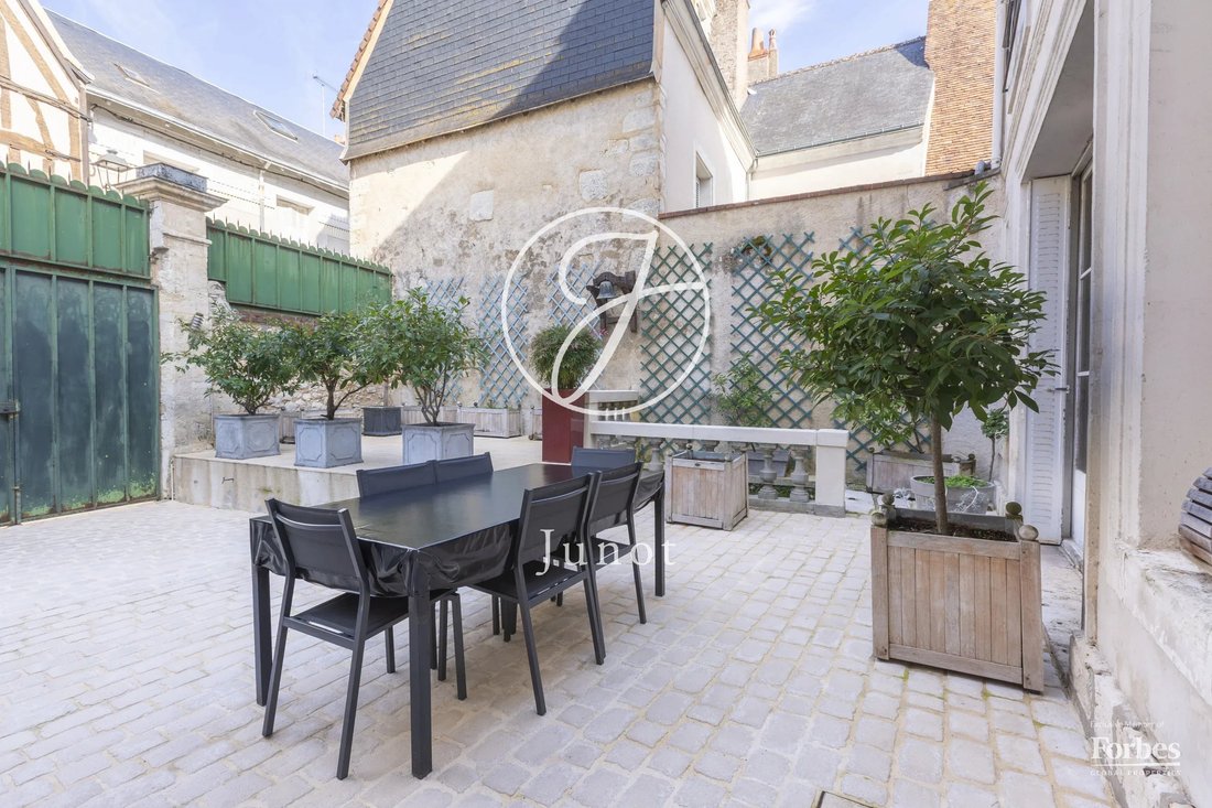 Estate in Gerard Yvon, Vendôme, France 3 - 19102380