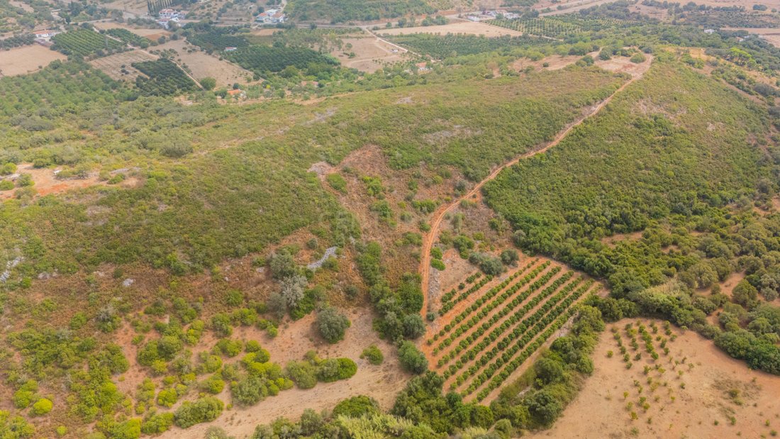 Farm Ranch in Mexilhoeira Grande, Algarve, Portugal 3 - 19115400