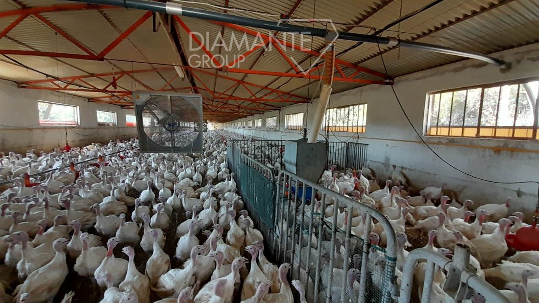 Casa di campagna a Rapolano Terme, Toscana, Italia 5 - 19115352