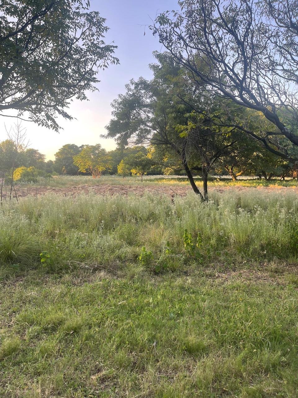 Terreno en Rietfontein 2-Ir, Gauteng, Sudáfrica 4 - 19116432