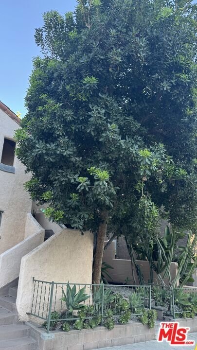 Altro a Los Angeles, California, Stati Uniti 4 - 19113930