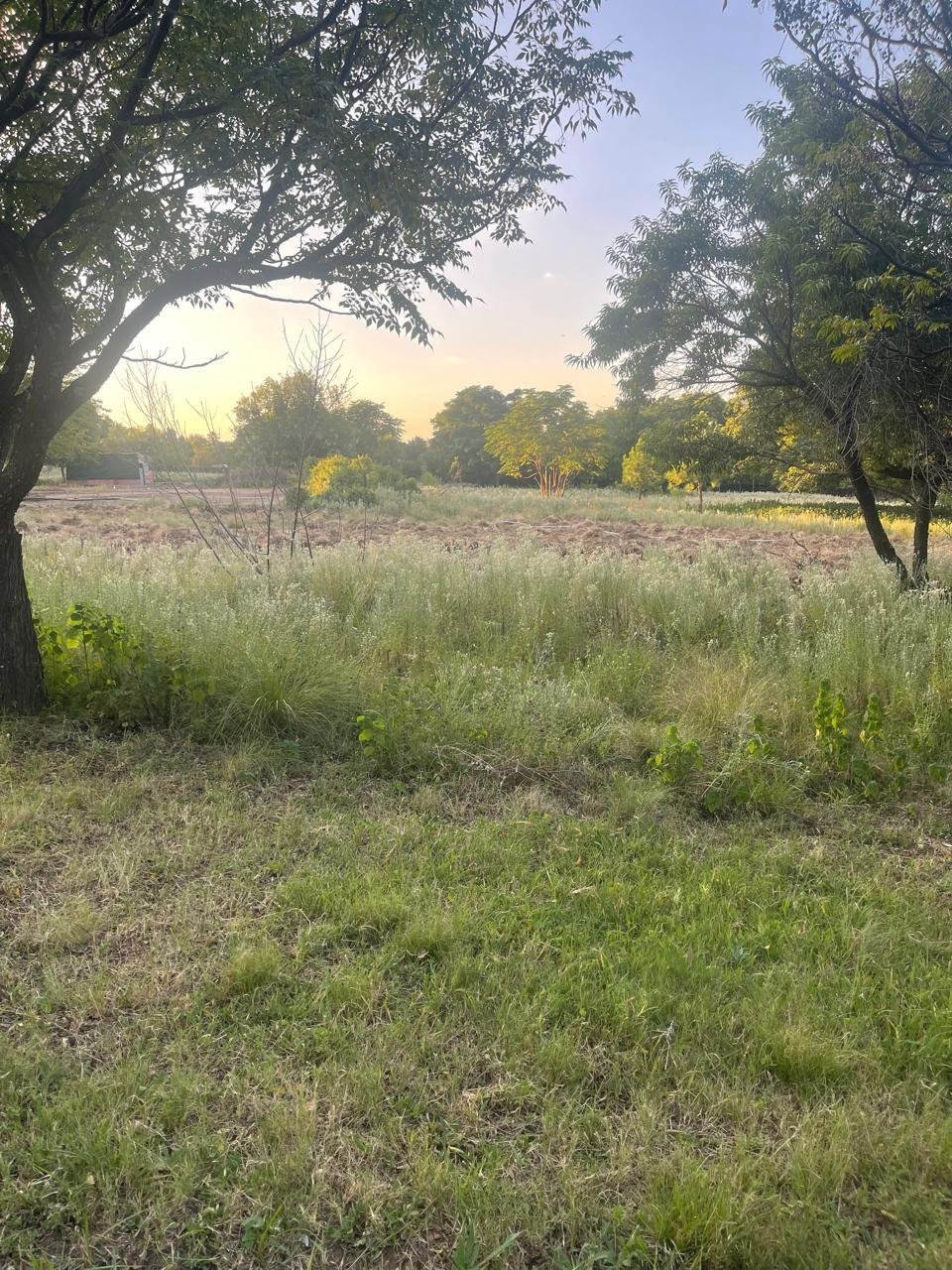 Terreno en Rietfontein 2-Ir, Gauteng, Sudáfrica 2 - 19116432