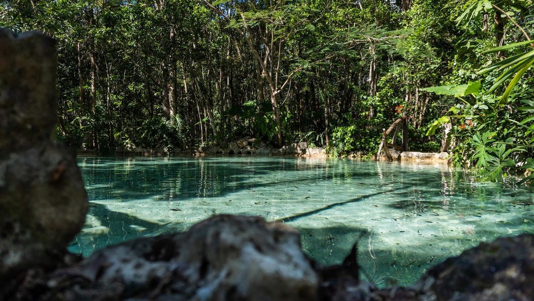 Land in Playa del Carmen, Quintana Roo, Mexiko 2 - 19116573