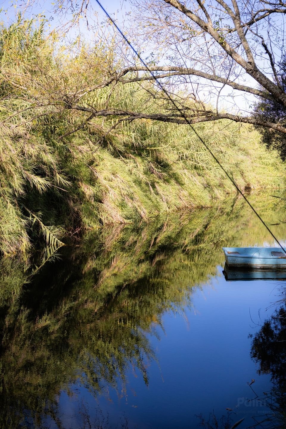 Rancho en Lagoa y Carvoeiro, Algarve, Portugal 3 - 19115940
