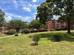 Altro a Levittown, New York, Stati Uniti 4 - 19115472