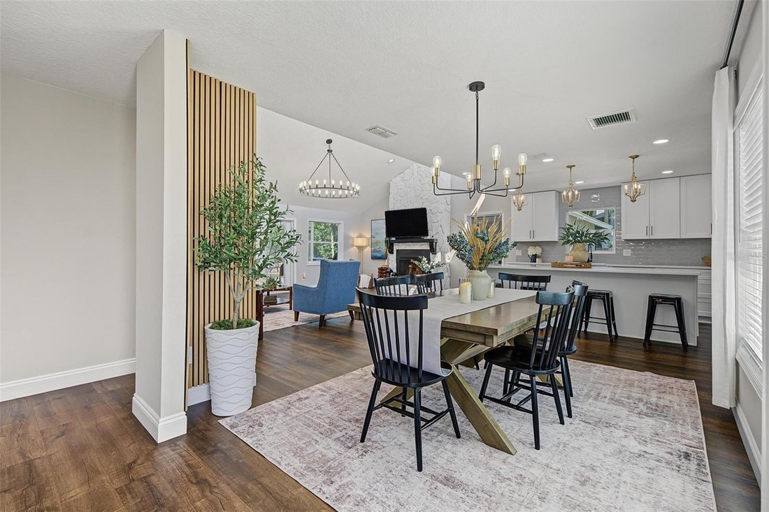 House in Land O' Lakes, Florida, United States 3 - 19116059