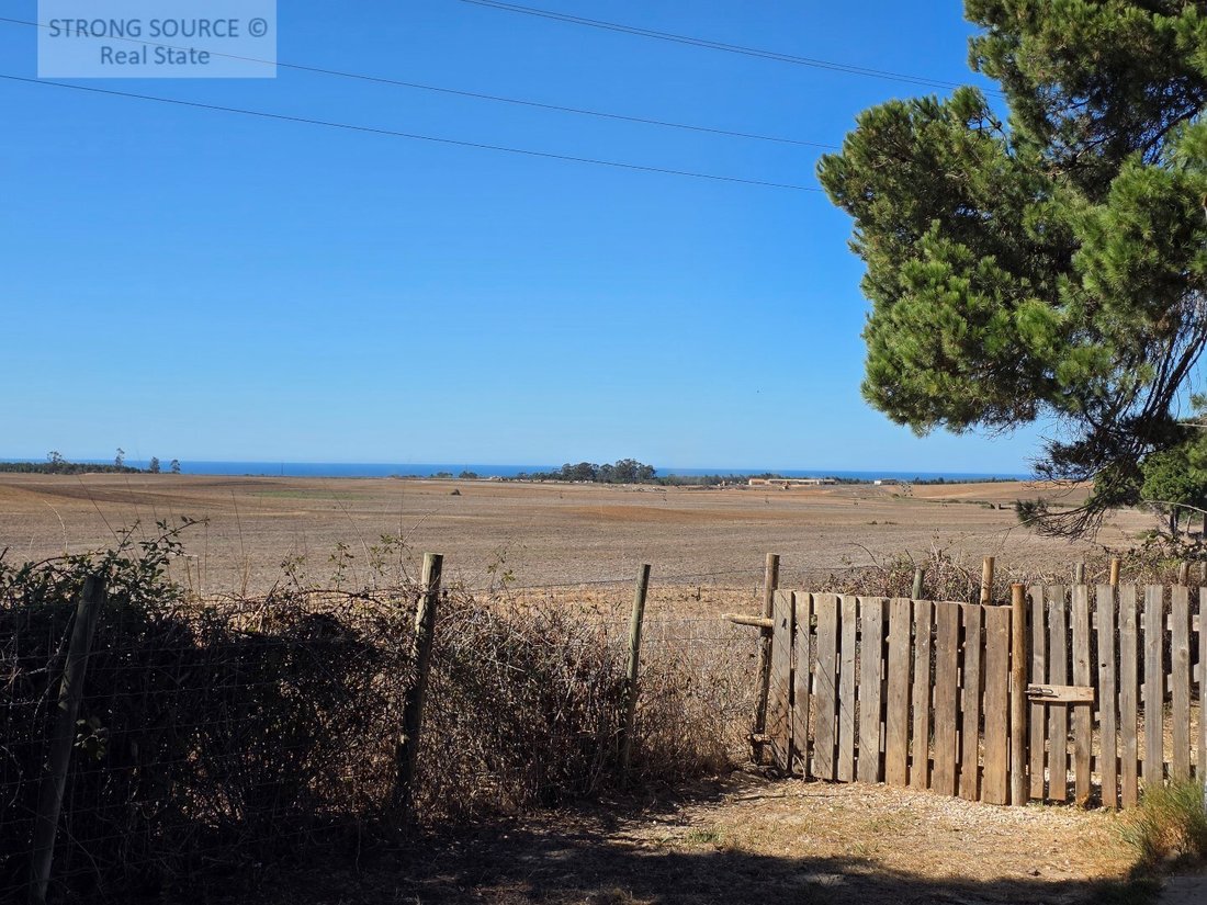 Finca en São Teotónio, Distrito de Beja, Portugal 4 - 19112216