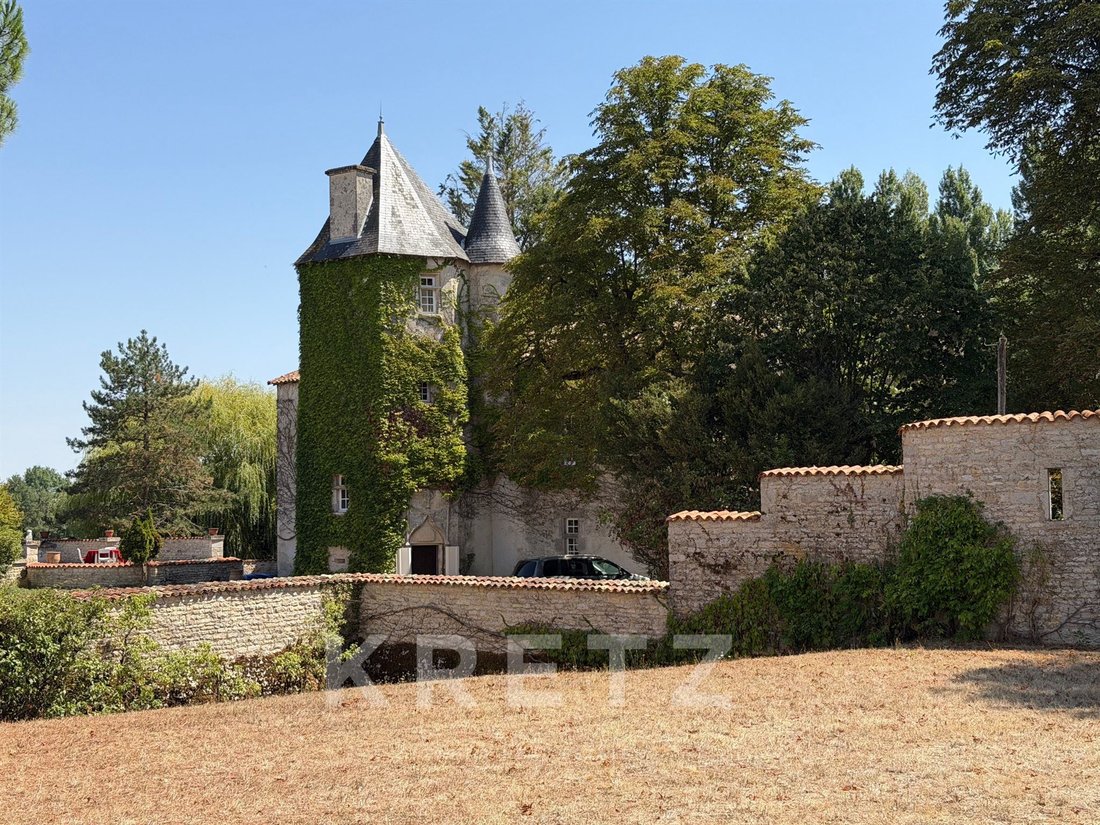 Castillo en Fontenille-Saint-Martin-d'Entraigues, Nueva Aquitania, Francia 1 - 19115932