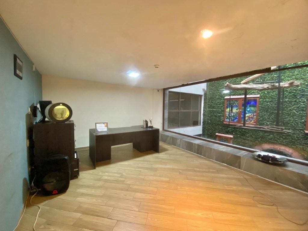 Haus in Naucalpan de Juárez, Bundesstaat Mexiko, Mexiko 3 - 19112832