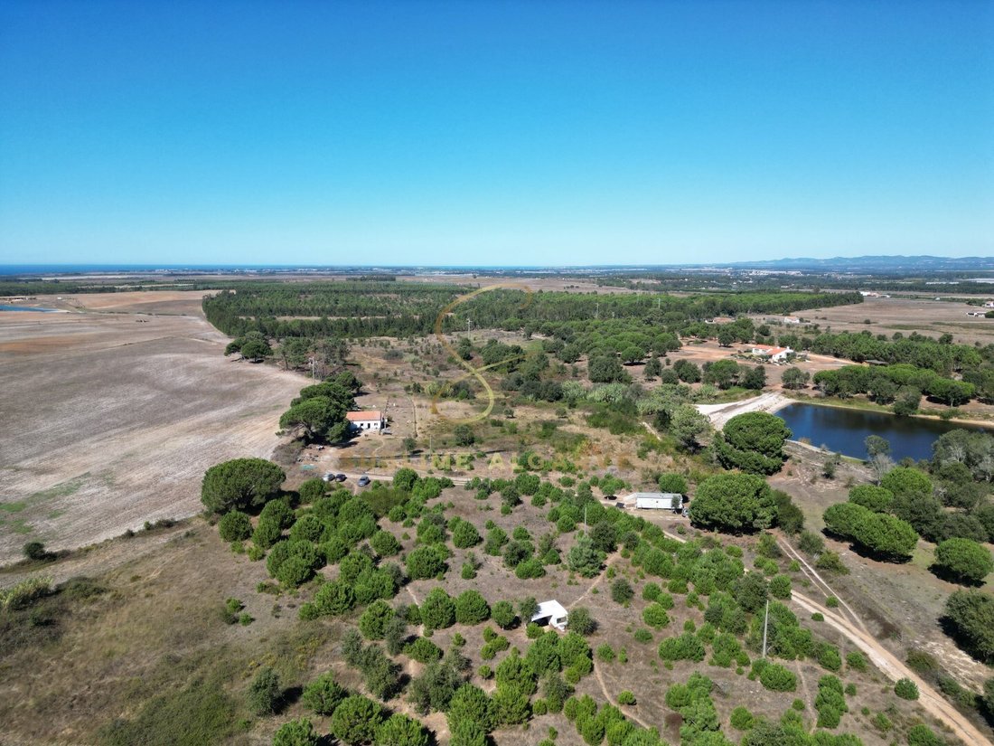 Finca en São Teotónio, Distrito de Beja, Portugal 1 - 19112224