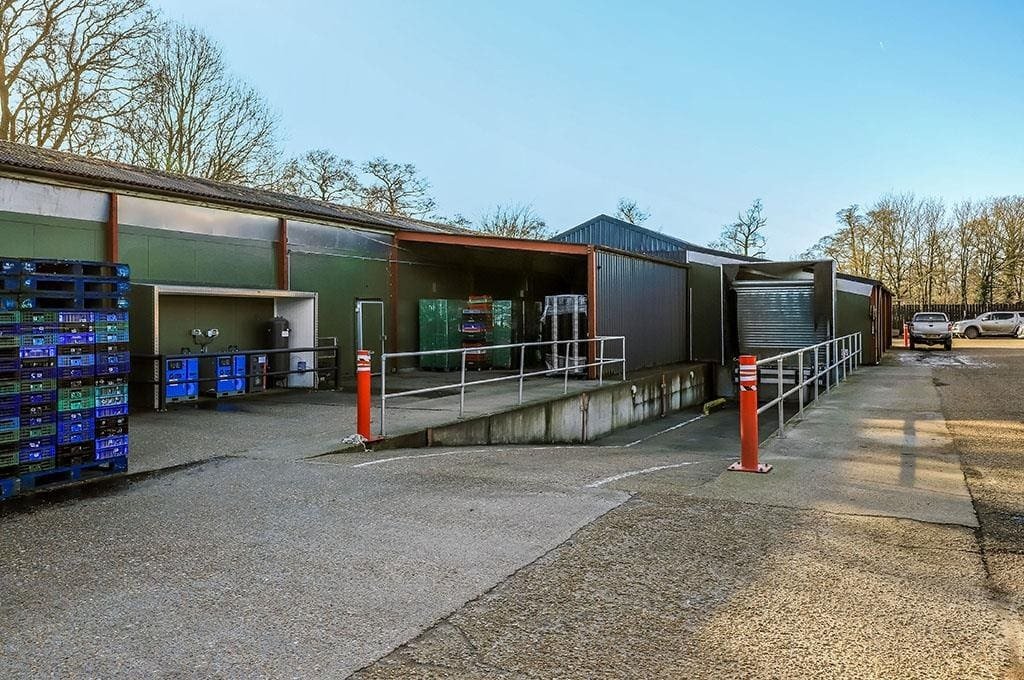 Bungalow a West Wellow, Wellow, Inghilterra 3 - 17492816