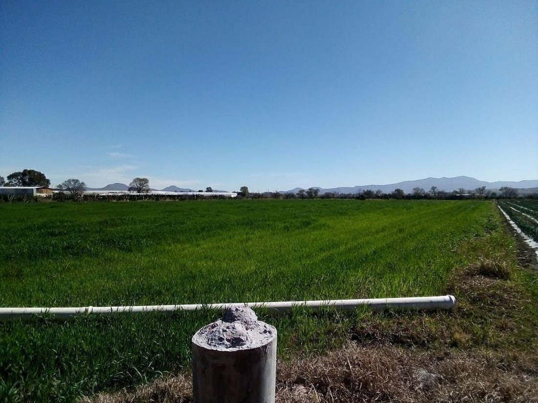 Land in San Juan del Río, Santiago de Querétaro, Mexiko 2 - 19112850