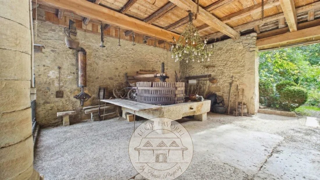Domaine à Veigy-Foncenex, Auvergne-Rhône-Alpes, France 4 - 19102079
