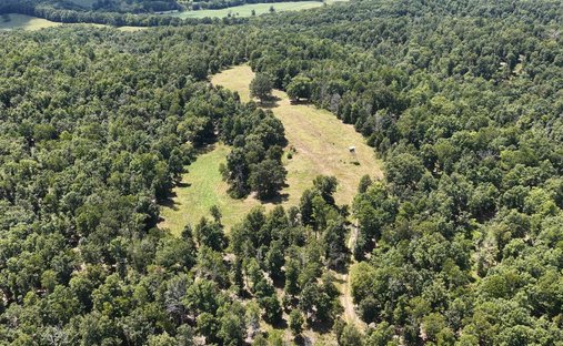Land in Birch Tree, Missouri, Vereinigte Staaten 1