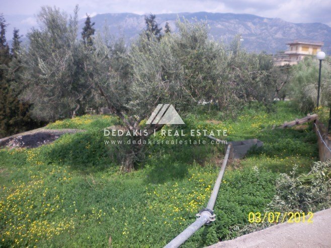 Casa en Community of Loutraki - Perachora, Loutraki - Perachora, Grecia 4 - 19111760