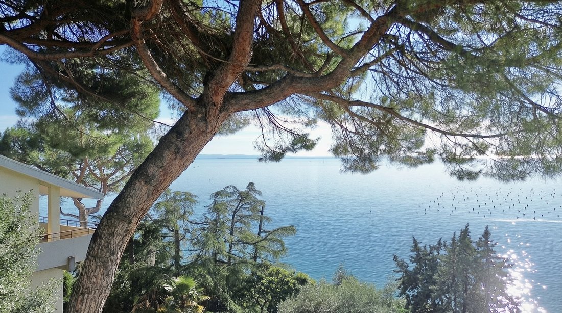 Villa à Altipiano Ovest-Barcola, Trieste, Frioul-Vénétie julienne 1 - 19112901