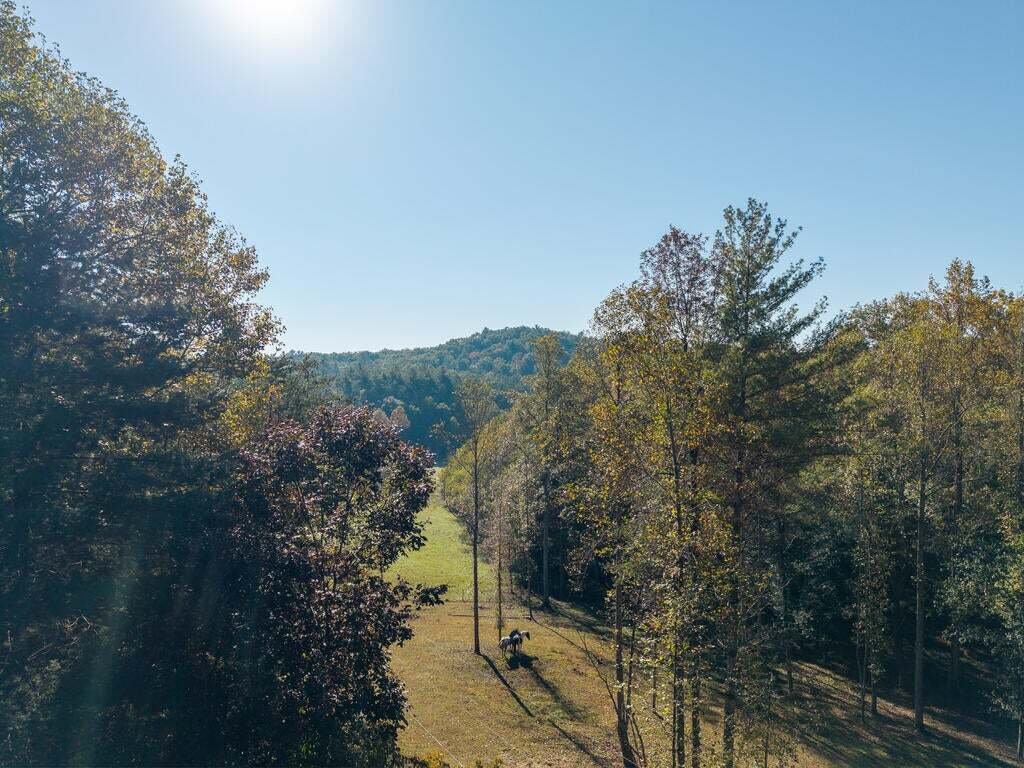 Haus in Blue Ridge, Georgia, Vereinigte Staaten 2 - 19110295