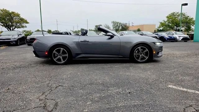 Cabriolet in Olathe, KS, United States 4 - 19112320
