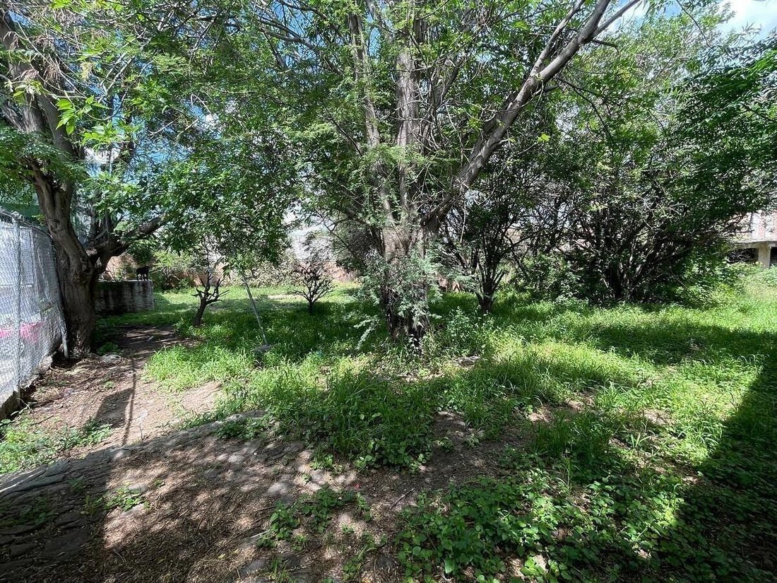Land in Tequisquiapan, Santiago de Querétaro, Mexiko 4 - 19112815