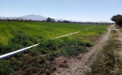 Land in San Juan del Río, Santiago de Querétaro, Mexiko 1