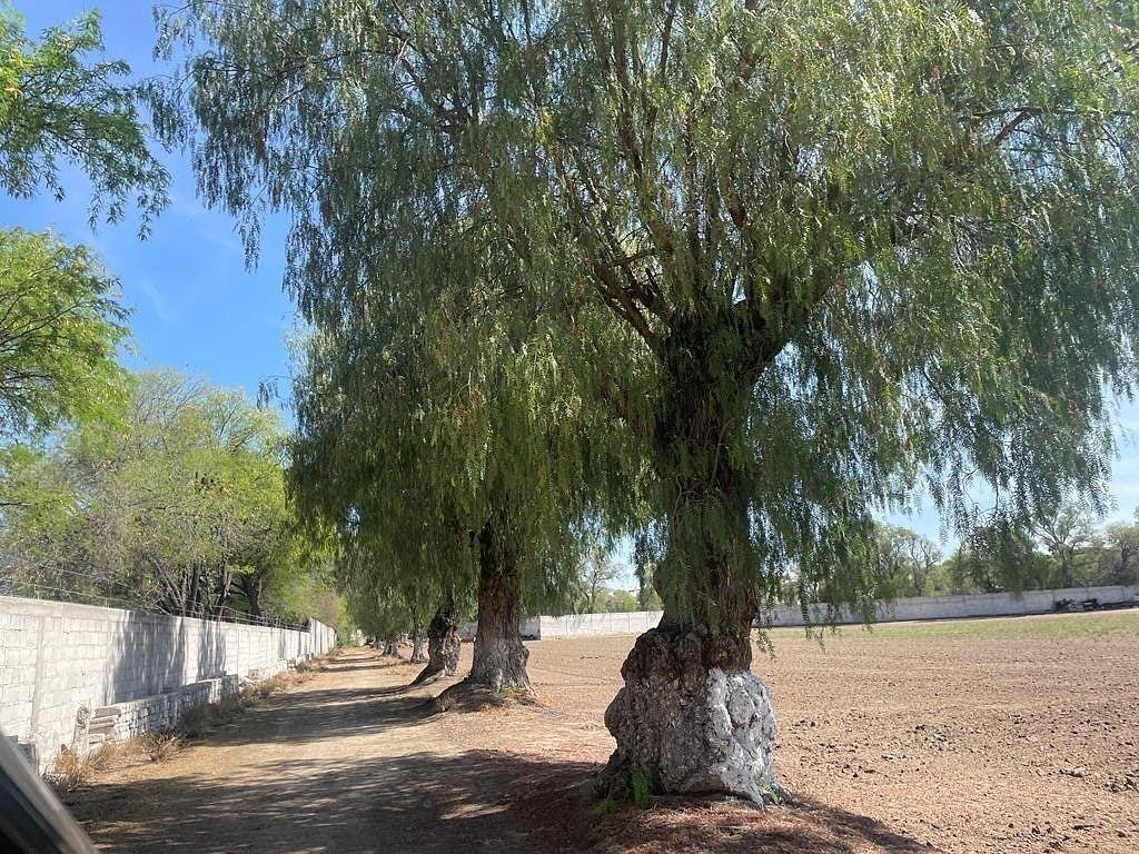 Land in Tequisquiapan, Santiago de Querétaro, Mexiko 3 - 19112893