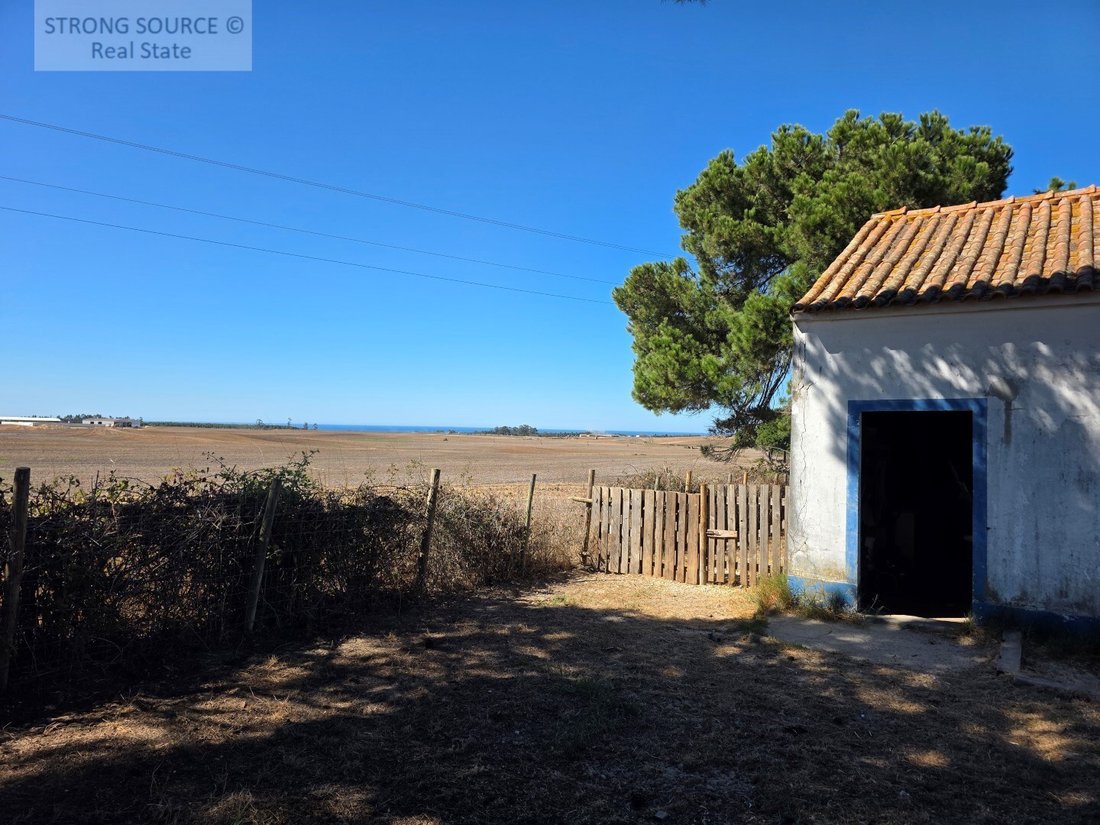 Finca en São Teotónio, Distrito de Beja, Portugal 3 - 19112216
