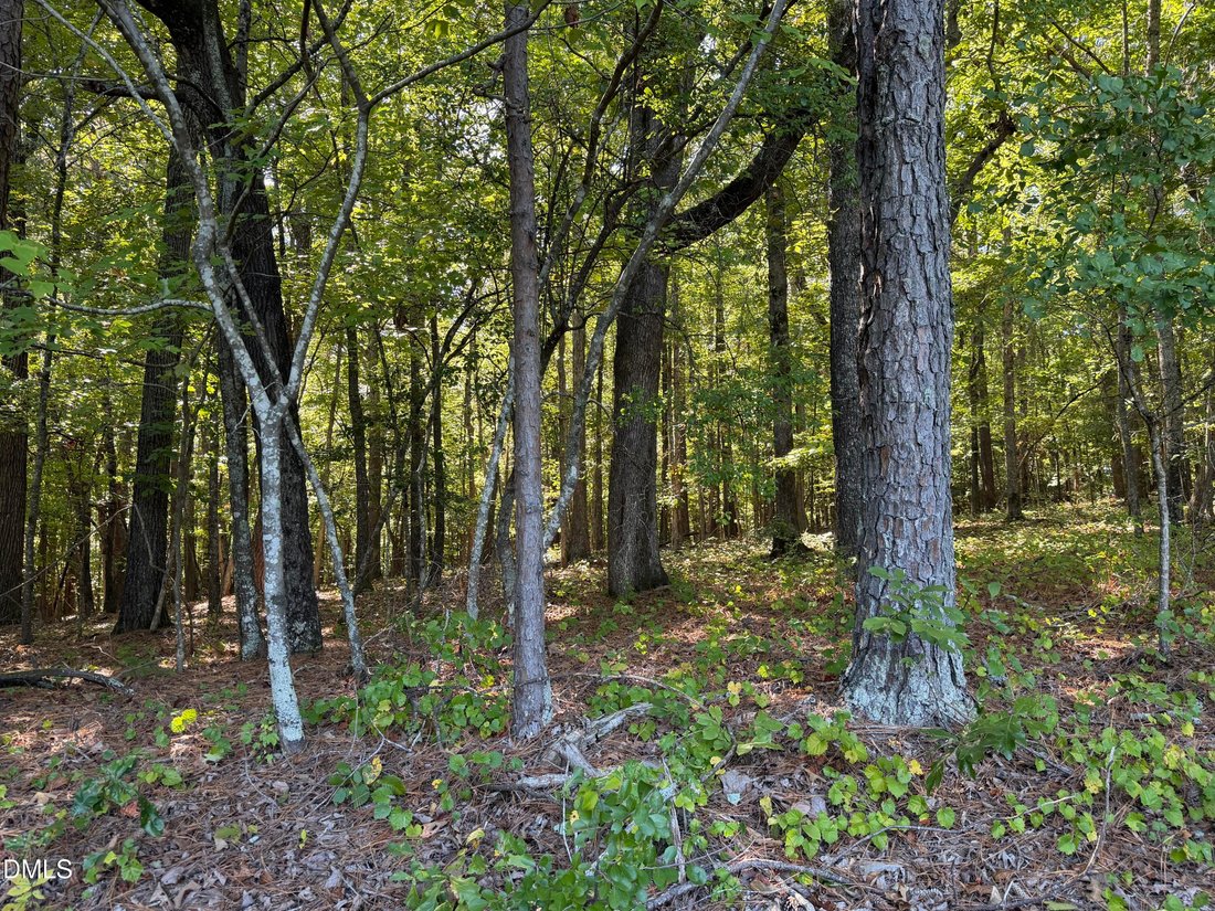 Land in Fuquay-Varina, North Carolina, United States 5 - 19110237