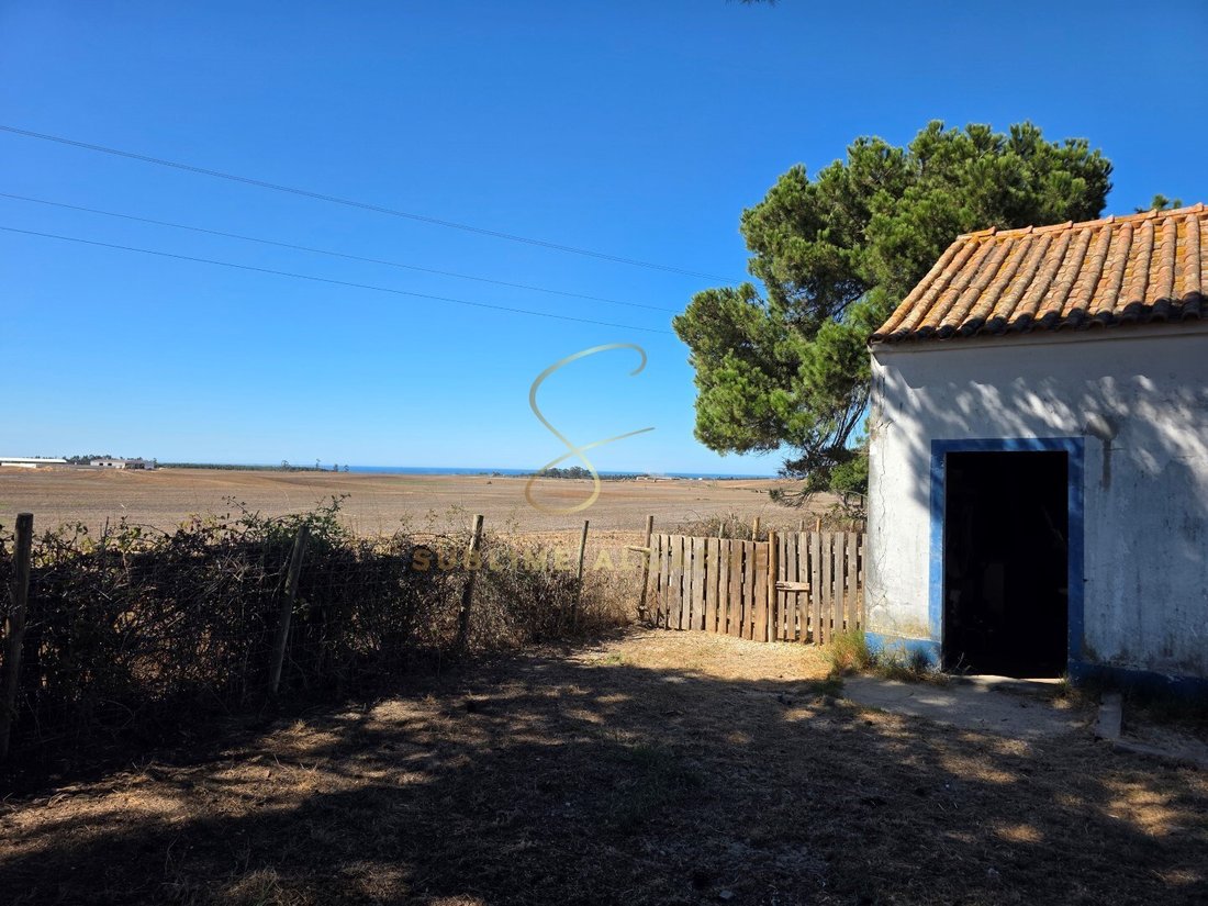 Finca en São Teotónio, Distrito de Beja, Portugal 3 - 19112224