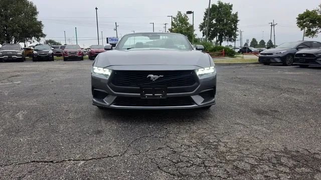 Cabriolet in Olathe, KS, United States 2 - 19112320
