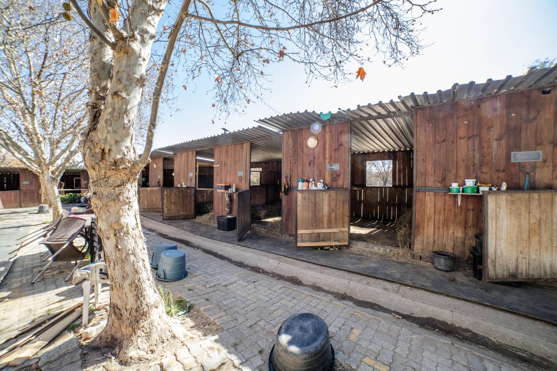 Farm Ranch in Chartwell, Gauteng, South Africa 4 - 19116601