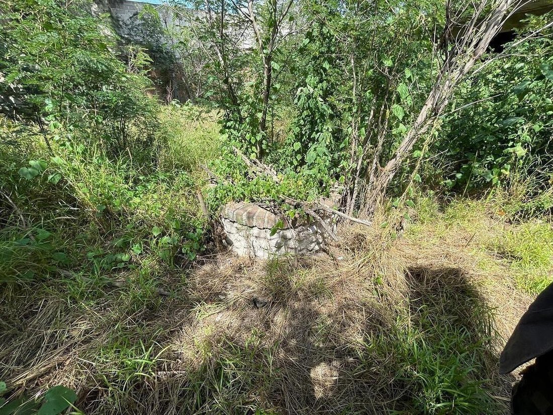 Land in Tequisquiapan, Santiago de Querétaro, Mexiko 4 - 19112773