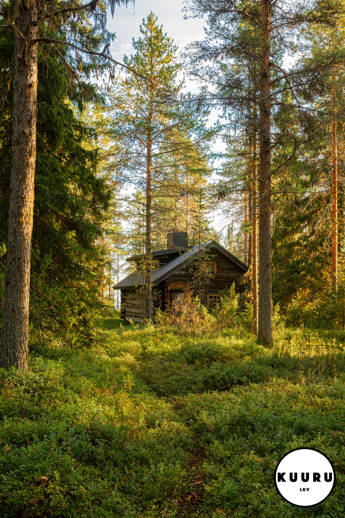 Terreno a Lounasniemi, Regione della Lapponia, Finlandia 4 - 19118745