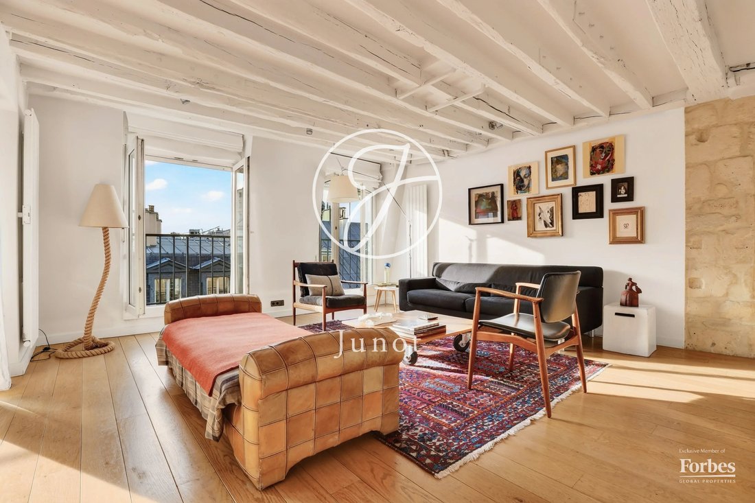 Apartment in Porte Saint Denis-Paradis, Paris 10e Arrondissement, Paris 3 - 19119083