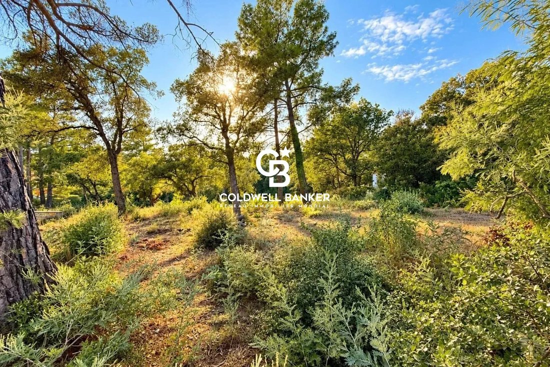 Terreno en Grimaud, Provenza-Alpes-Costa Azul, Francia 4 - 19119024