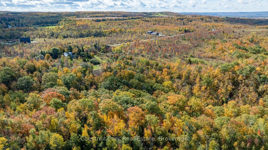 Haus in Clarksburg, Ontario, Kanada 4 - 18209469