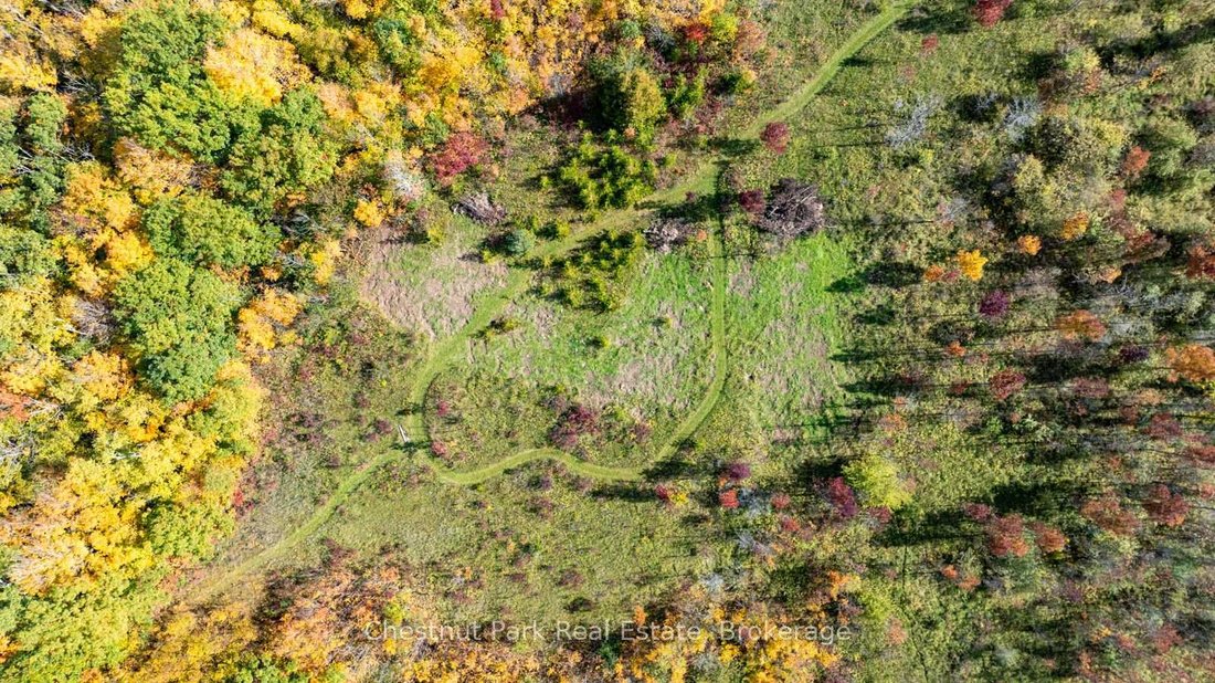 Haus in Clarksburg, Ontario, Kanada 3 - 18209469