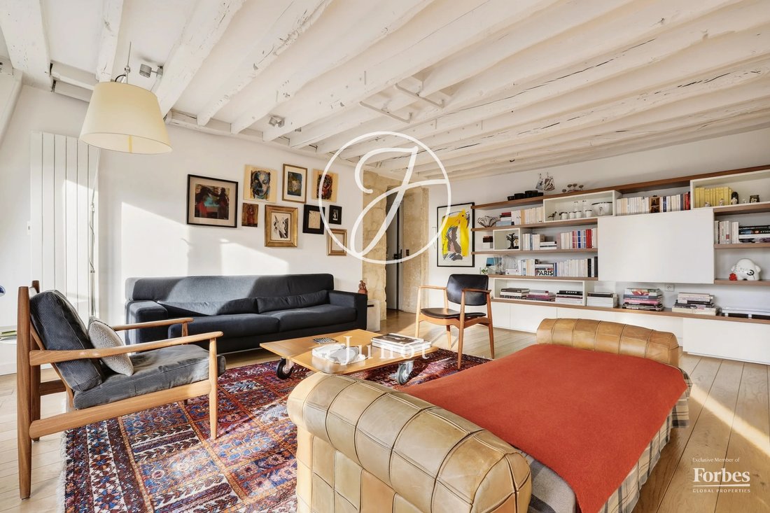 Apartment in Porte Saint Denis-Paradis, Paris 10e Arrondissement, Paris 4 - 19119083