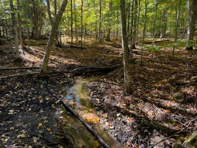 Terreno a Wequetonsing, Michigan, Stati Uniti 2 - 19117303