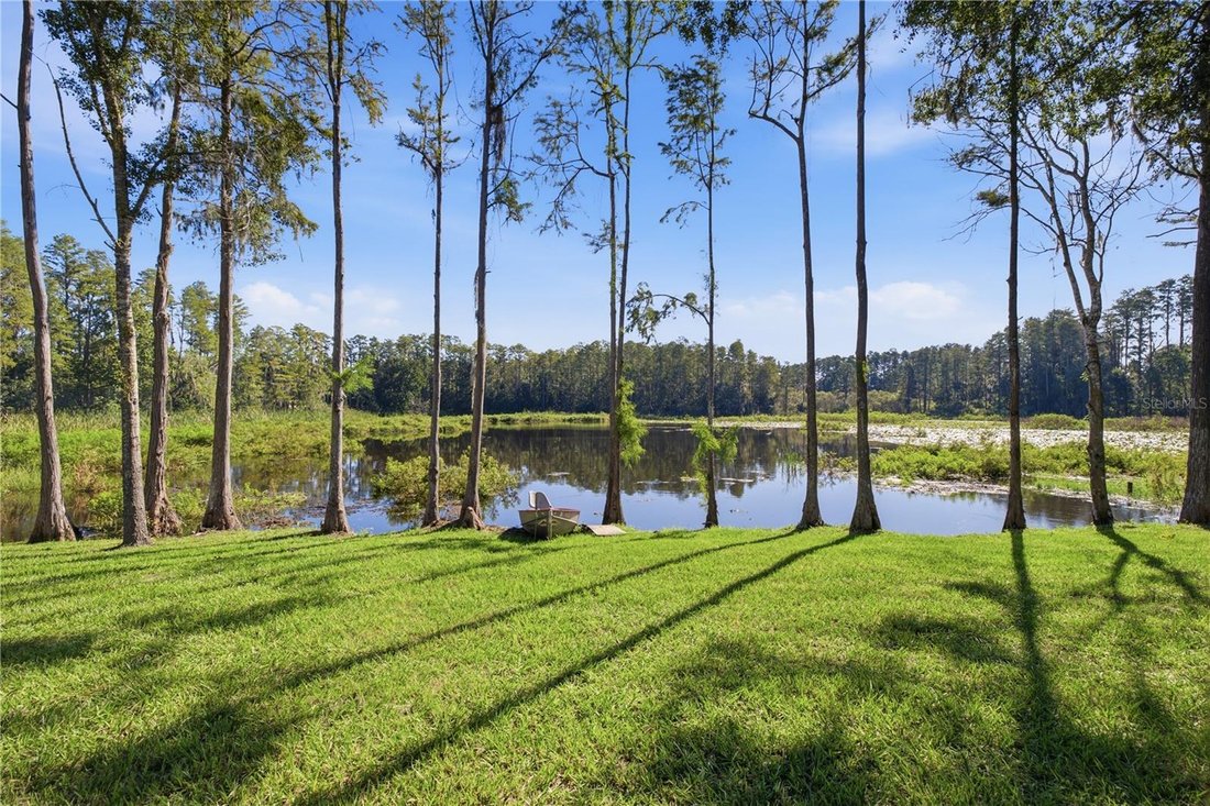 House in Land O' Lakes, Florida, United States 4 - 19118177