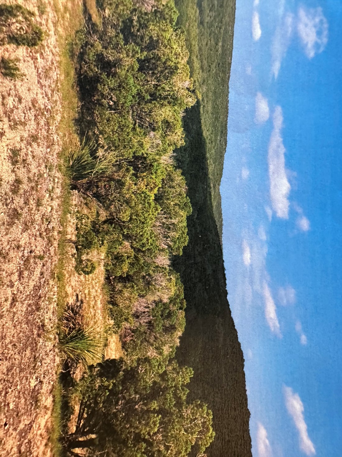 Terrain à Helotes, Texas, États-Unis 4 - 19117267