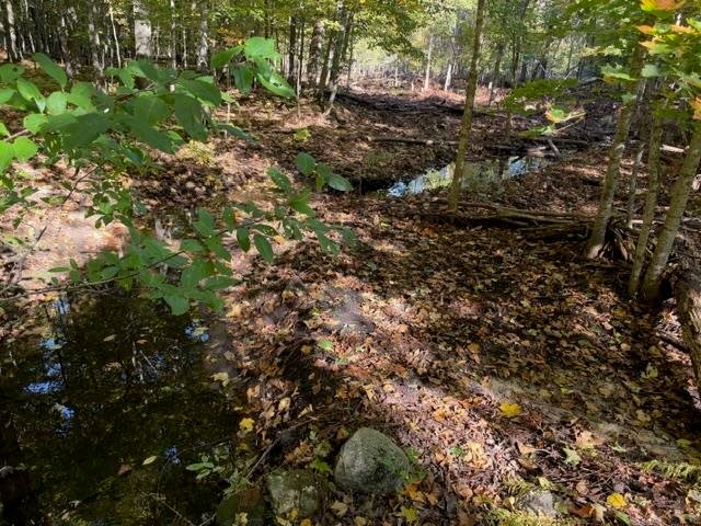 Terreno a Wequetonsing, Michigan, Stati Uniti 3 - 19117303