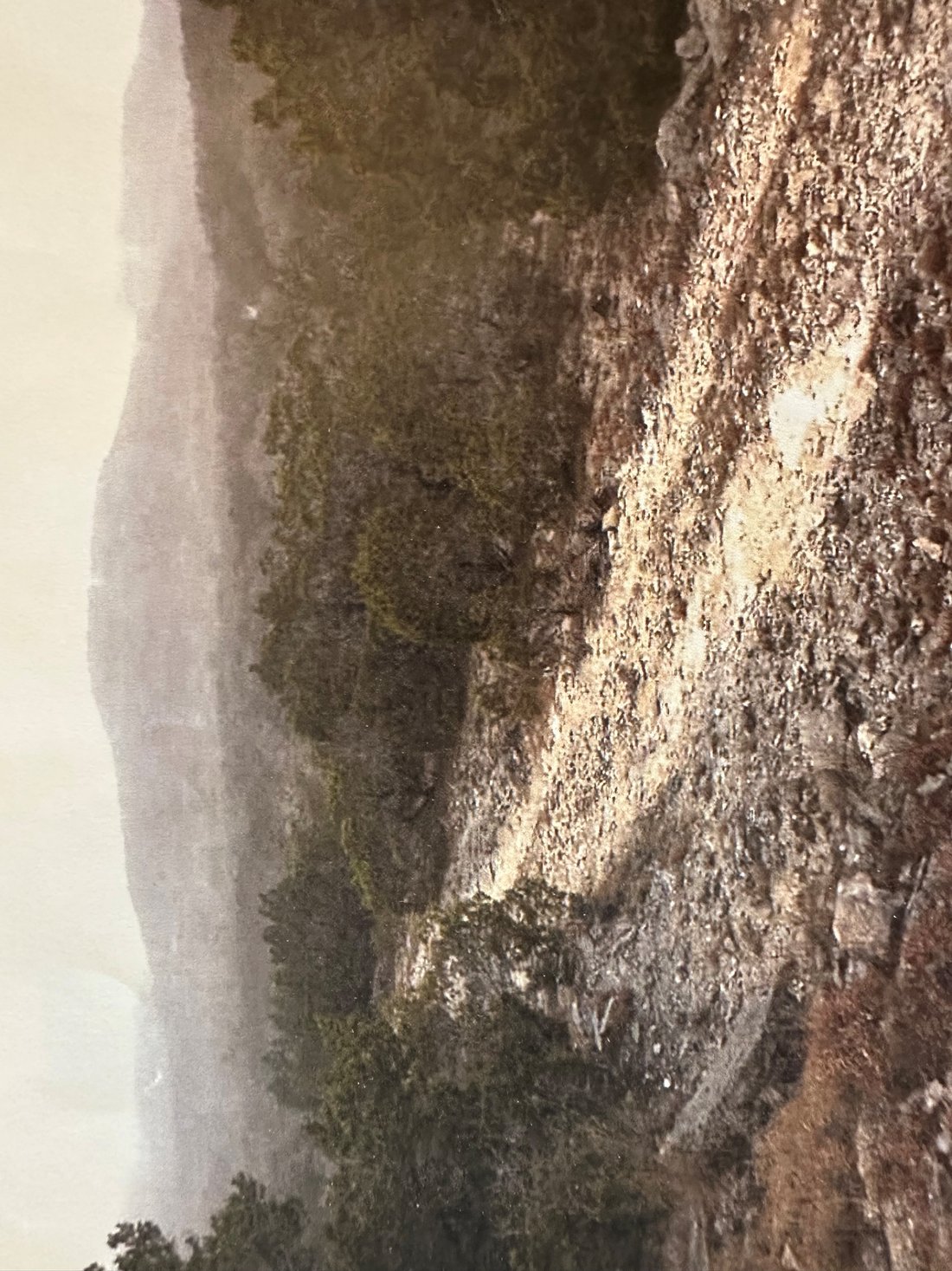 Terrain à Helotes, Texas, États-Unis 3 - 19117267
