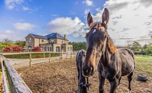 Farm Ranch in South Downs, Chichester, England 1