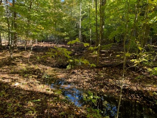 Terreno a Wequetonsing, Michigan, Stati Uniti 4 - 19117303