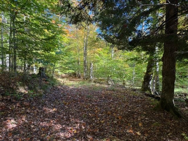 Terreno a Wequetonsing, Michigan, Stati Uniti 5 - 19117303
