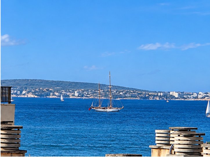 Appartamento a Palma di Maiorca, Isole Baleari, Spagna 1 - 19120302